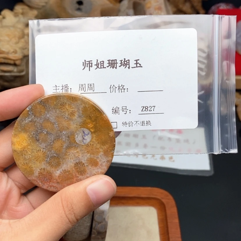 【闪购商品】硅化珊瑚（珊瑚玉）颈饰未镶嵌透****?
