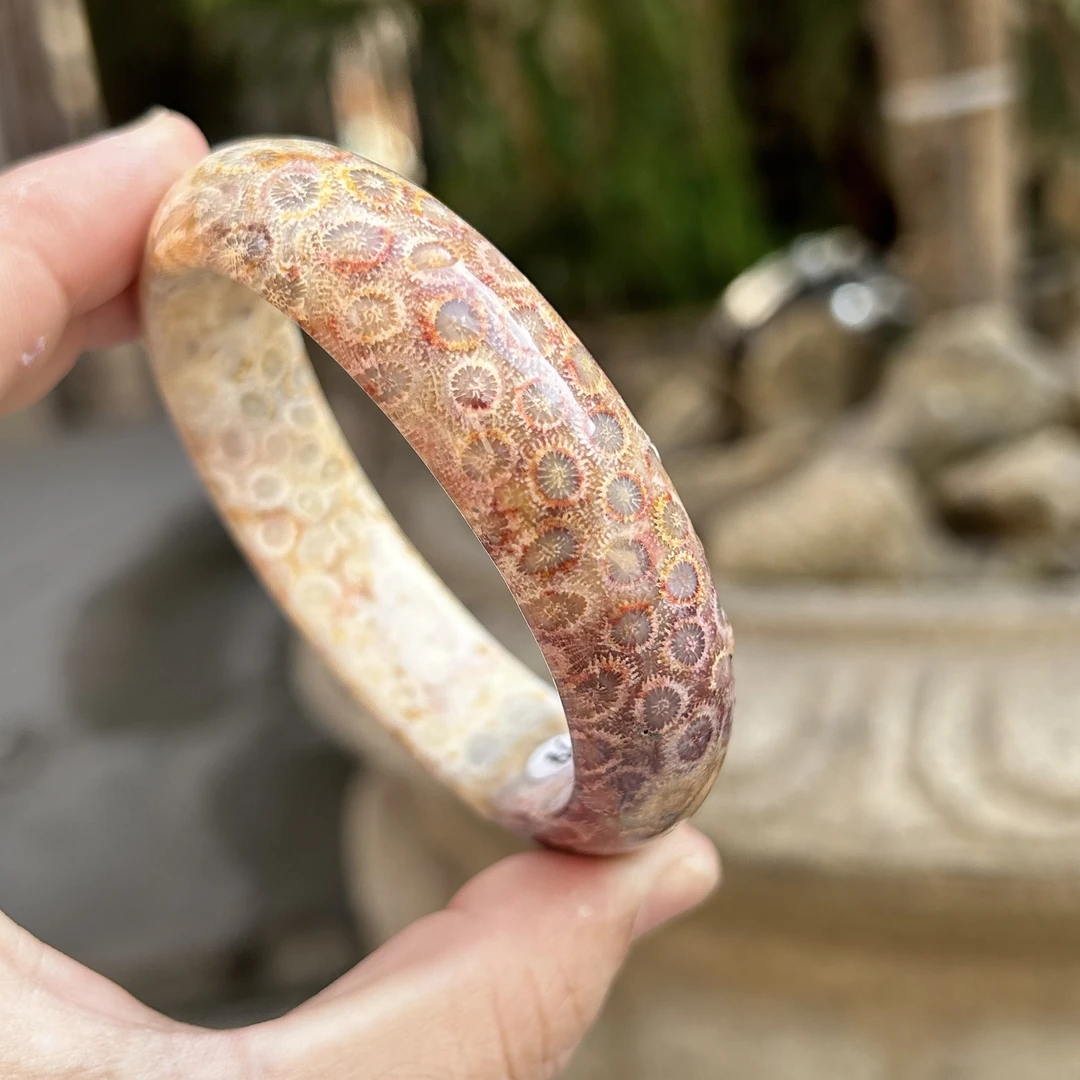 珊瑚玉天然珊瑚玉手镯菊花石手镯自然光珊瑚玉老矿红花60圈