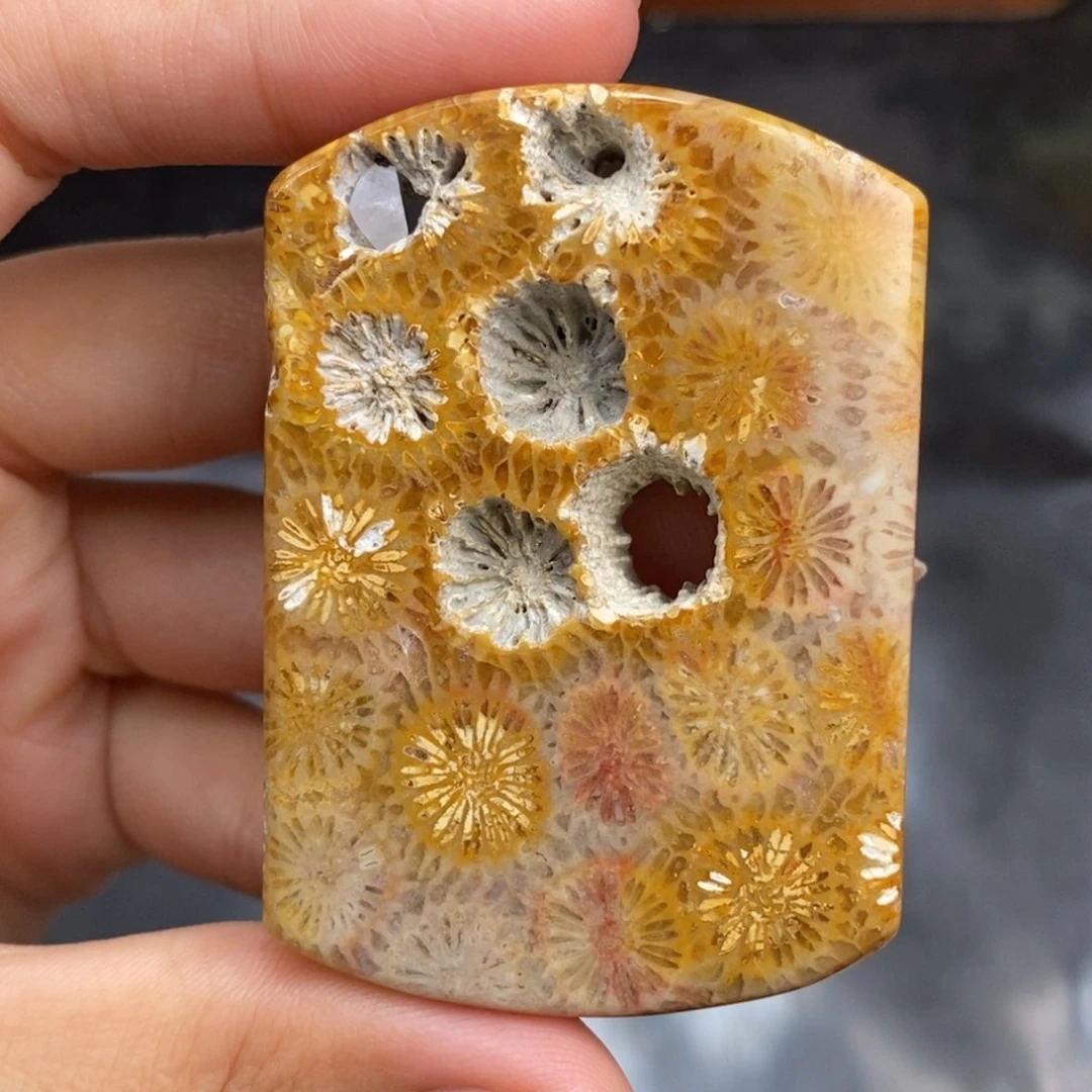 硅化珊瑚（珊瑚玉）手镯未镶嵌