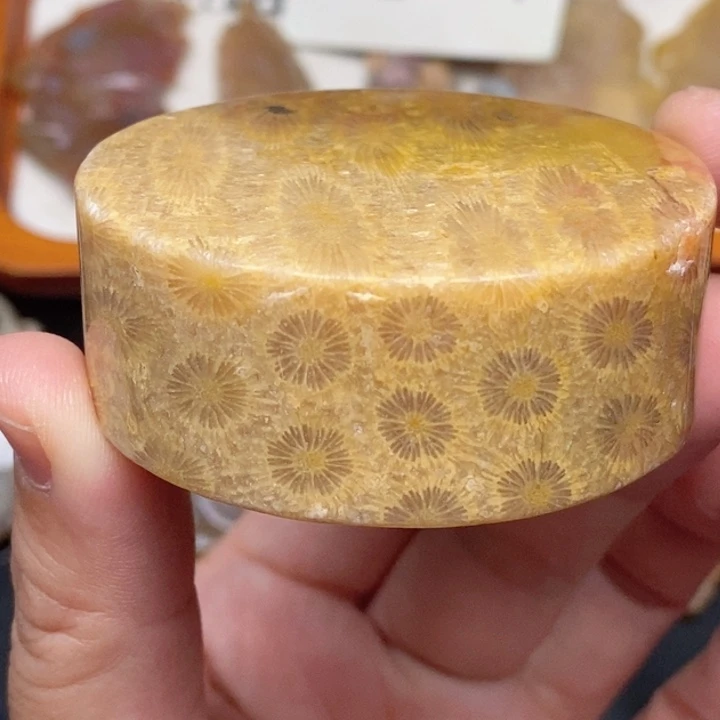 硅化珊瑚（珊瑚玉）手镯未镶嵌