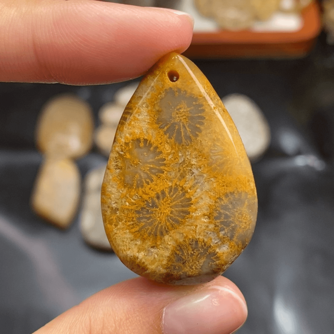 硅化珊瑚（珊瑚玉）颈饰未镶嵌