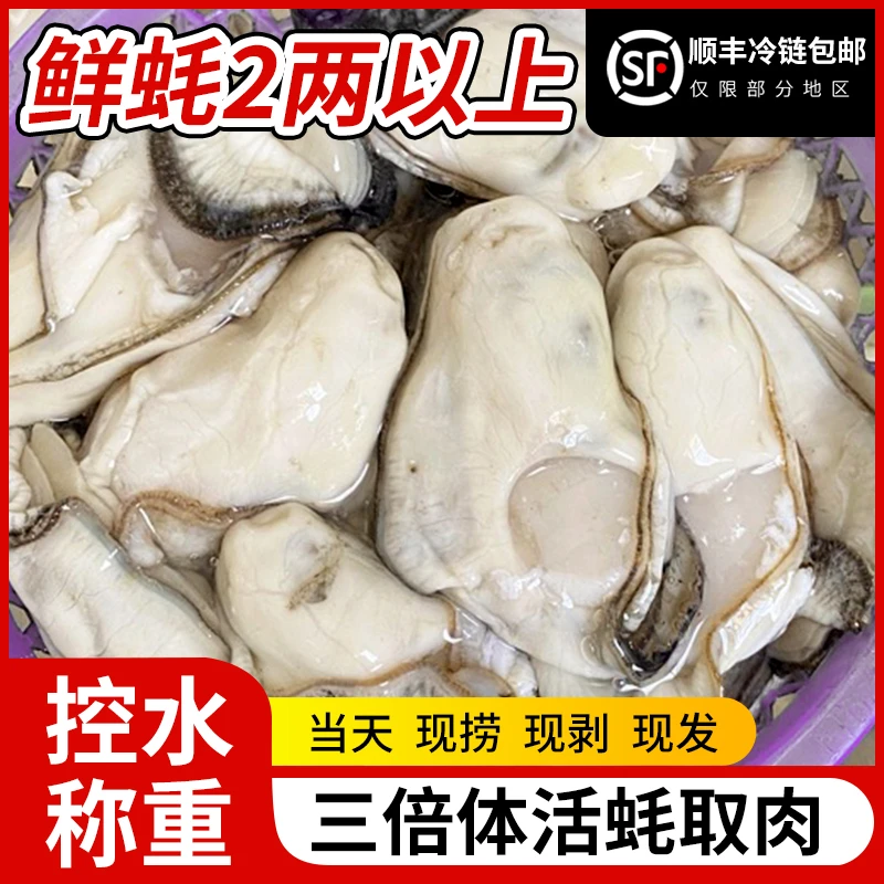 正宗乳山三倍体生蚝 肉质新鲜当天现剥现发纯生蚝肉去壳