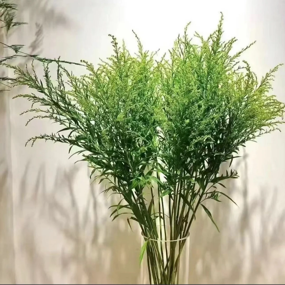 【花桥】黄莺鲜花（零度以下需拍保温棉）