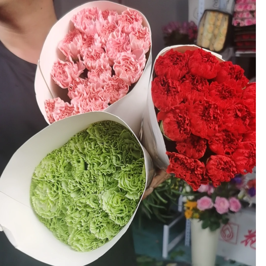 【花桥】康乃馨（零度以下需拍保温棉）