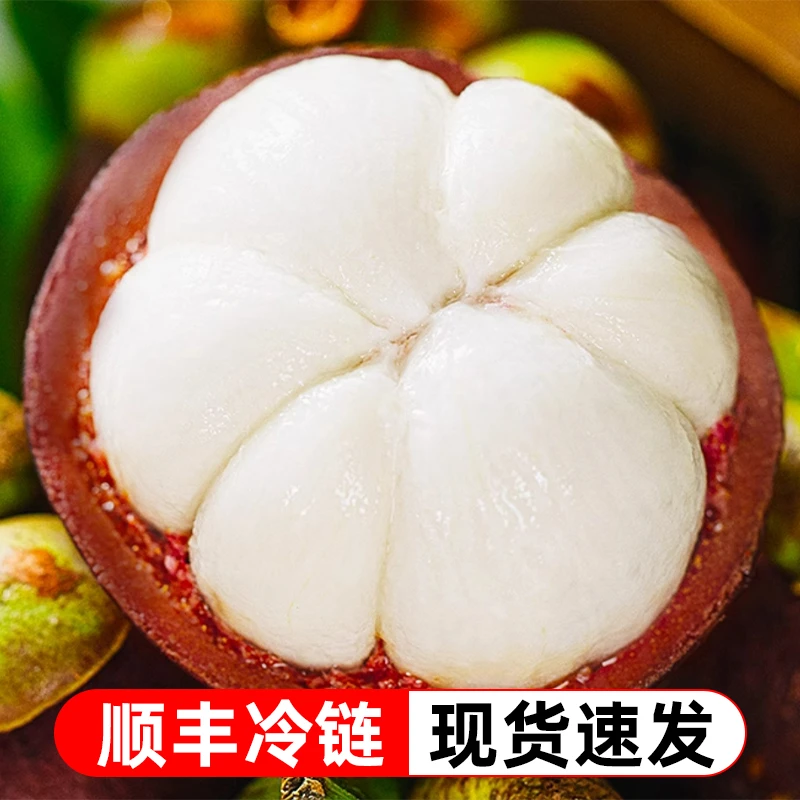 顺丰包邮/泰国山竹新鲜大果油麻竹当季整箱3-5斤时令热带水果孕妇