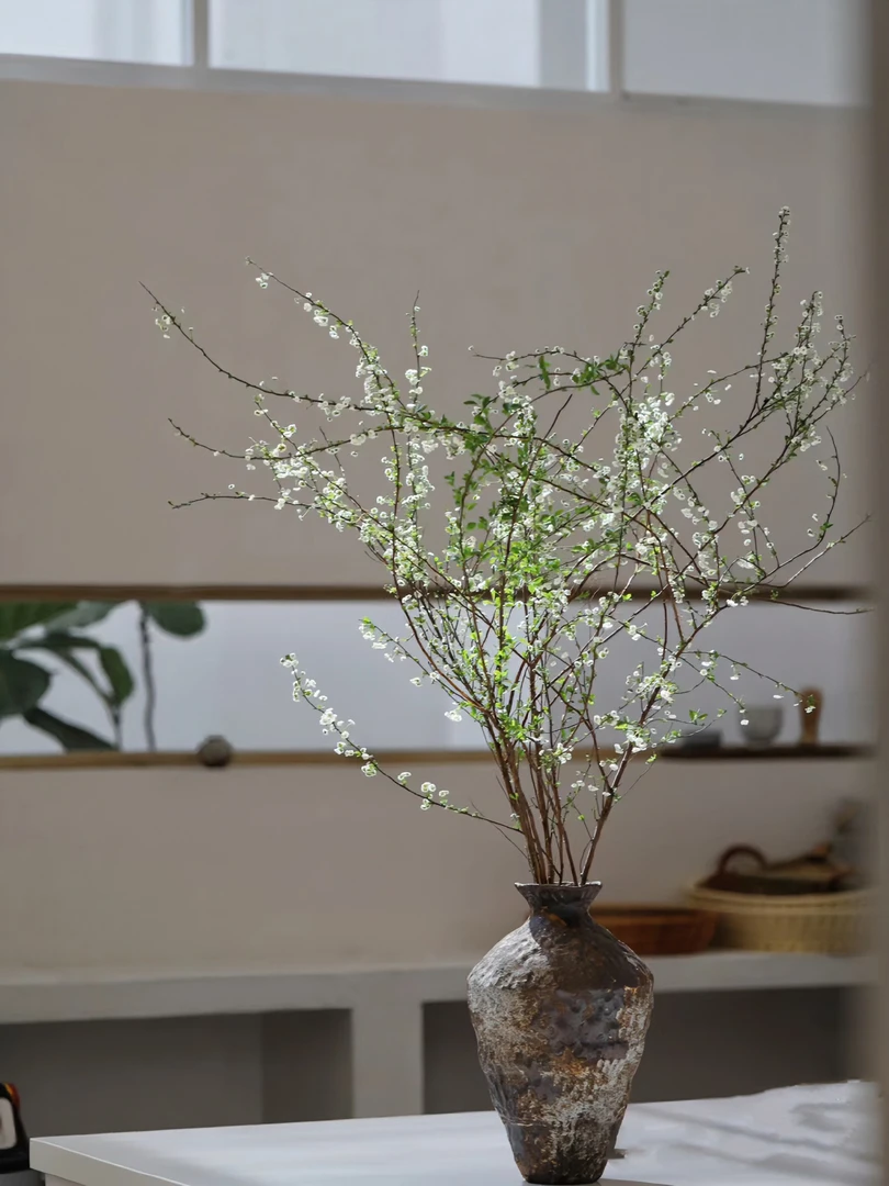 【花野行专属】雪柳遇水花开鲜切花枝干支花水养雪花阳台庭院植物