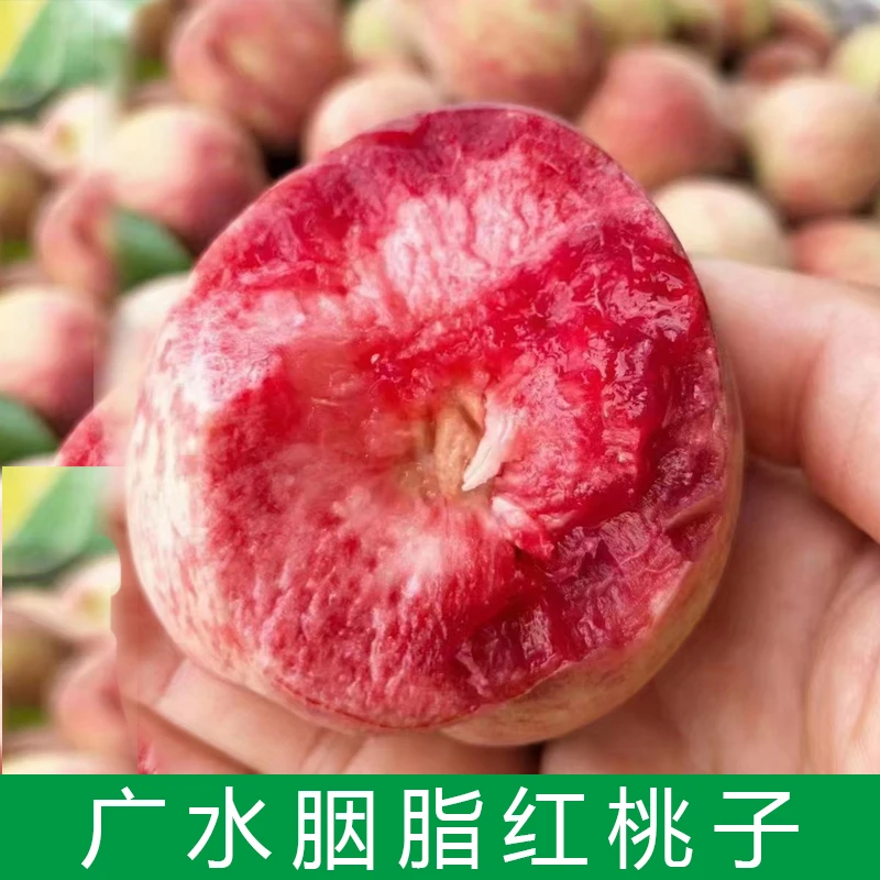 广水胭脂红桃子湖北血桃现摘现发5斤毛桃新鲜采摘