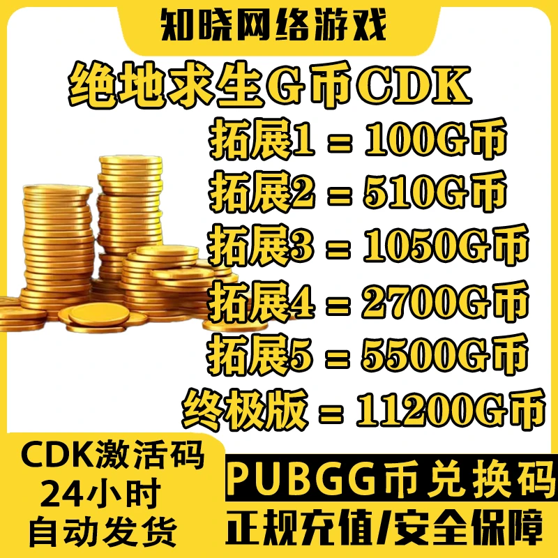 PUBGG币CDK兑换码绝地求生金币吃鸡G游戏币皮肤点卷官方充值激活