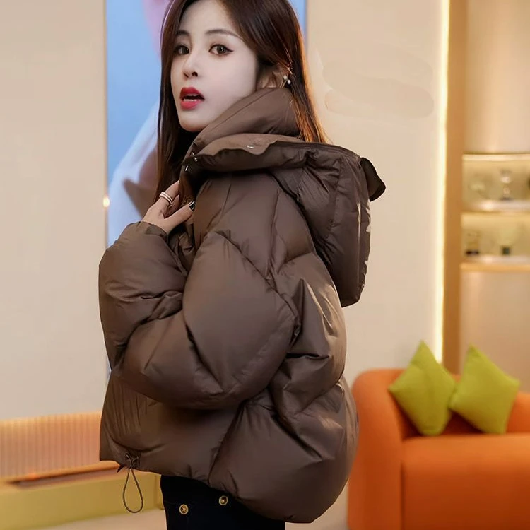 羽绒衣穿搭高级感棉服女款秋冬季2024年纯色洋气连帽棉服设计感