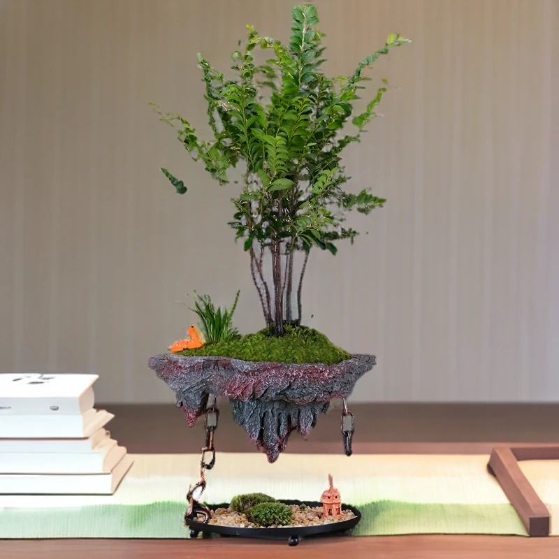 天空之城】小叶丛林悬浮绿植盆栽家庭空间盆景好养办公桌植物摆件