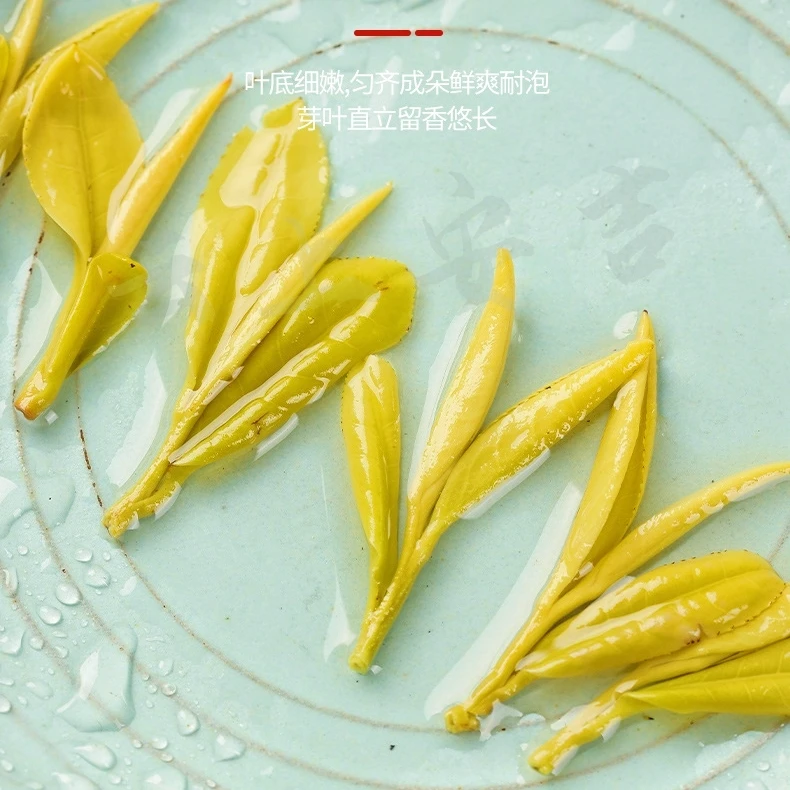 安吉【豆栗香型】浓香黄金芽