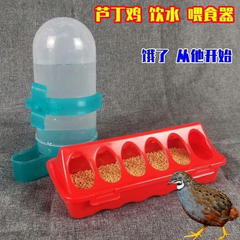 芦丁鸡必备用品 自动饮水器 喂食器喝水用品鹌鹑食盒
