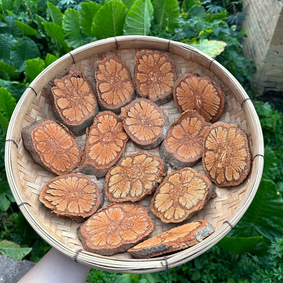 广西岑溪九龙藤老藤根茎类煲汤必备250g