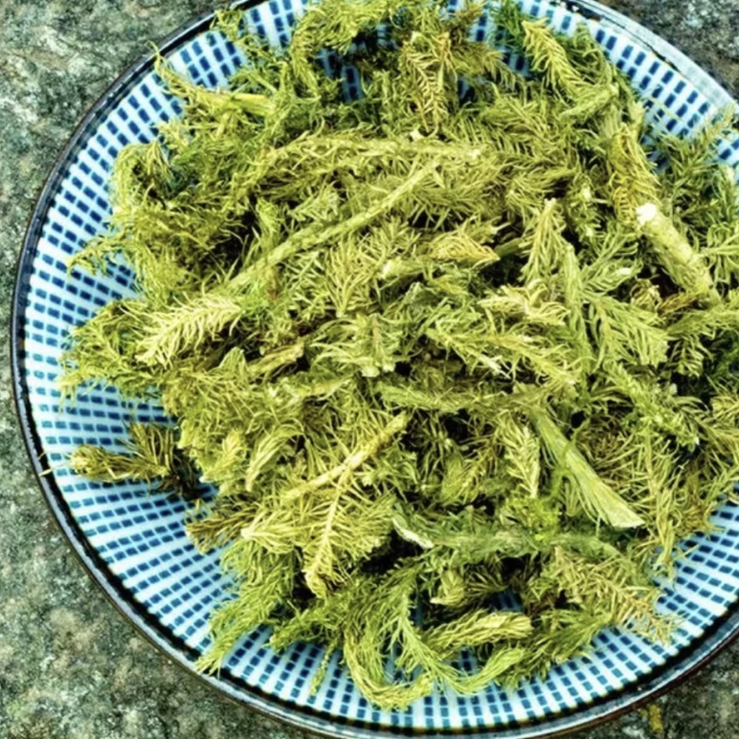 广西岑溪伸筋草根茎500g