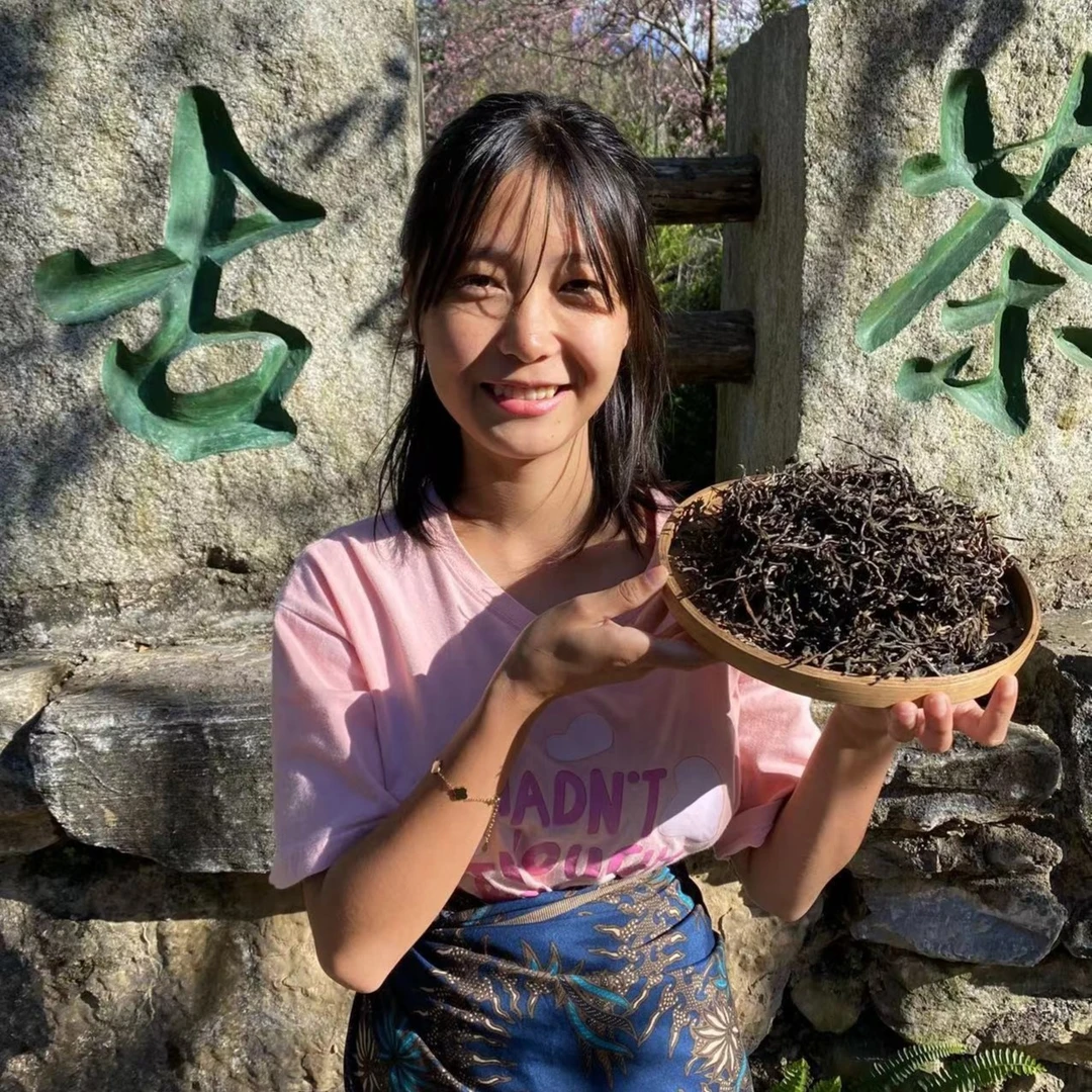 生态古树《 生普 》茶