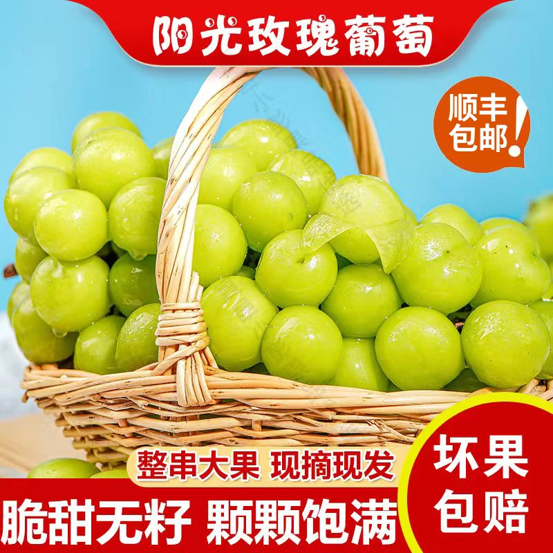 【顺丰包邮】正宗阳光玫瑰葡萄香印晴王香甜无籽农家自种现摘现发