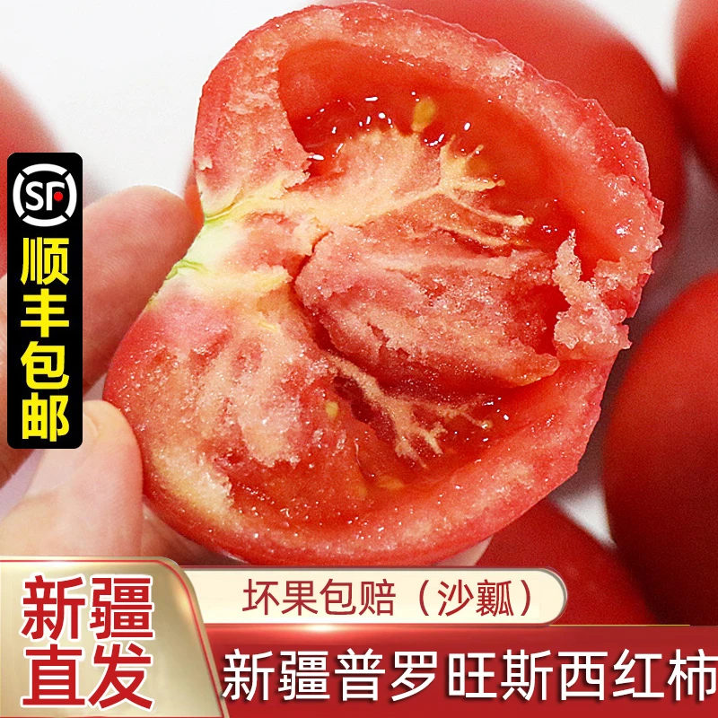 新疆普罗旺斯西红柿沙瓤番茄 当季生吃水果新鲜自然熟柿子顺丰