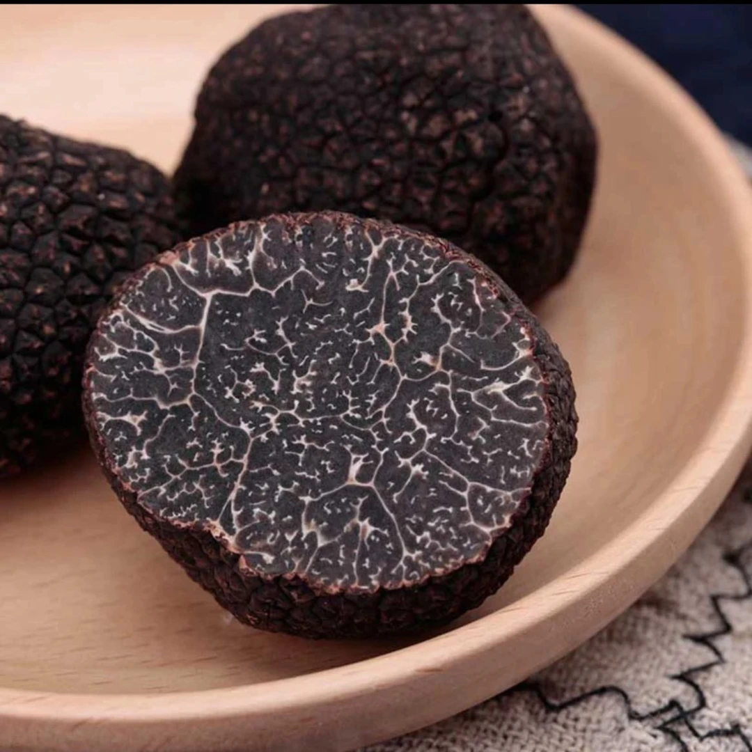2023年云南高黎贡山新鲜黑松露/猪拱草50g-500g
