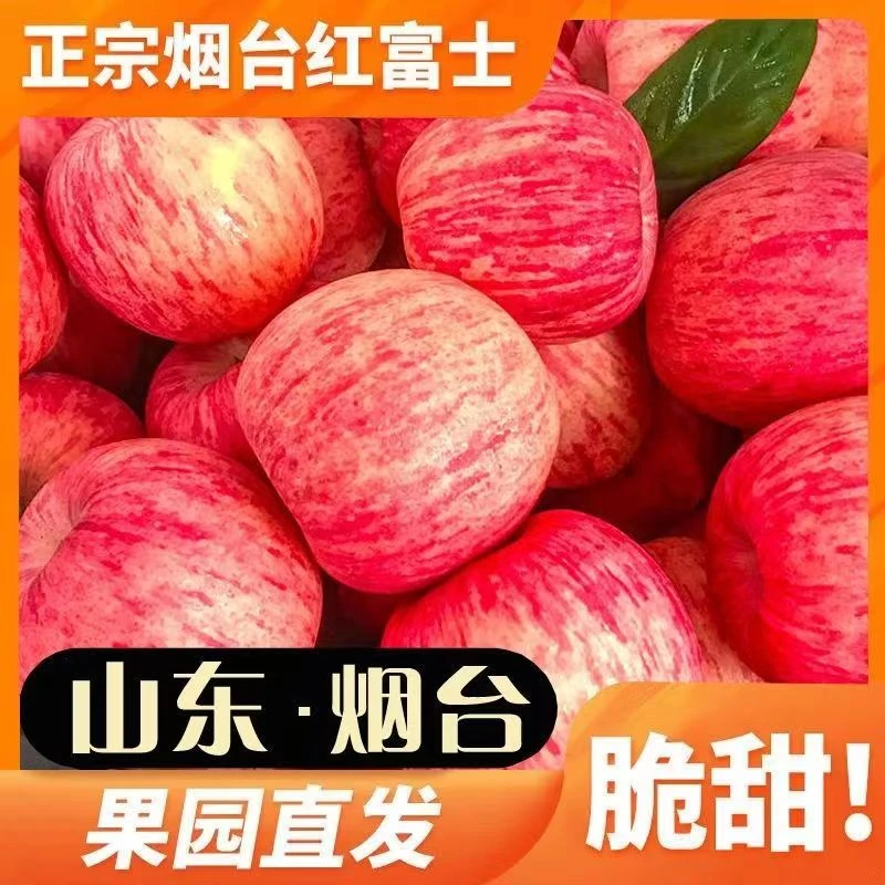 正宗的烟台苹果山东红富士营养农场自然成熟脆甜爆汁新鲜采摘现货