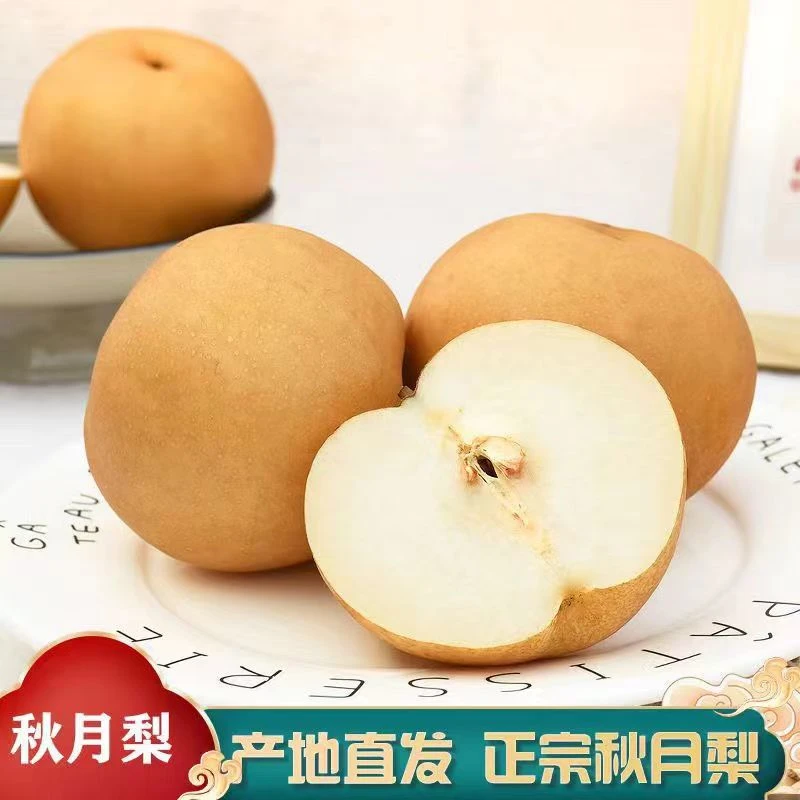 正宗山东秋月梨新鲜水果当天采摘产地直销皮薄脆爽香甜爆汁鲜脆爽