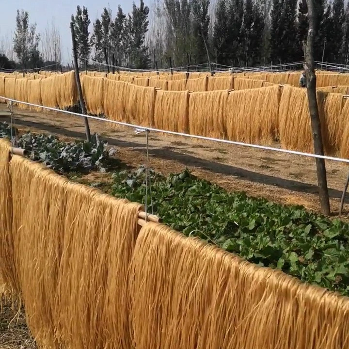 红薯细粉条 不含胶  5斤装 口感顺滑 劲道