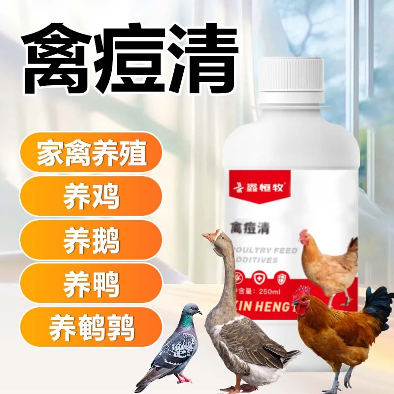 【禽痘清】鸡痘鸽痘专用斗鸡鸡痘灵鸡痘康鸡痘净禽用痘净鸡痘药正品
