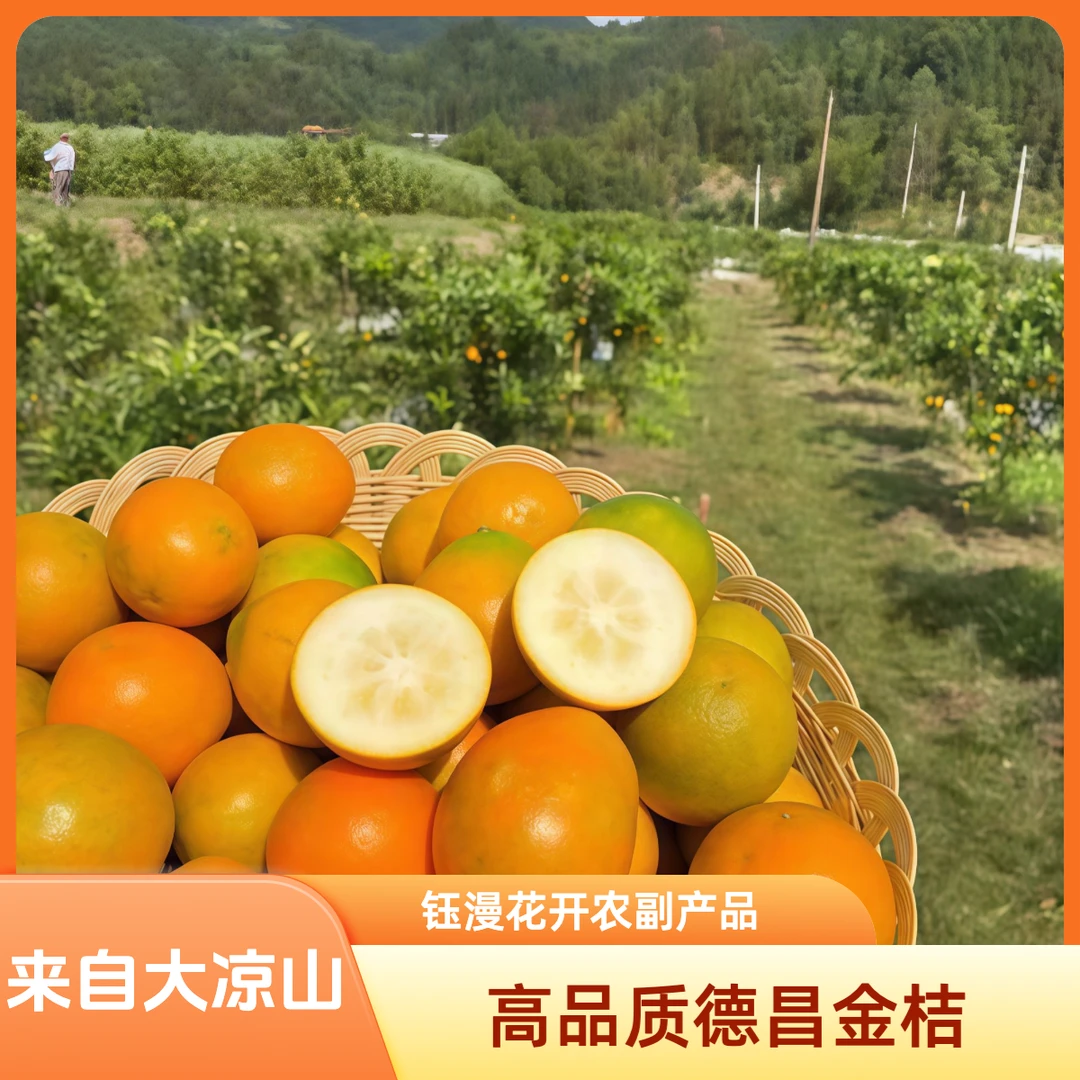 钰漫花开正宗德昌高品质金桔