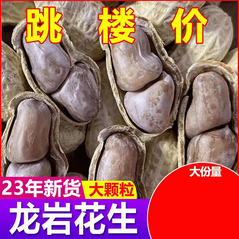 23年新水煮花生煮熟蒜香五香奶油味带壳盐咸晒干水煮咸干花生150g