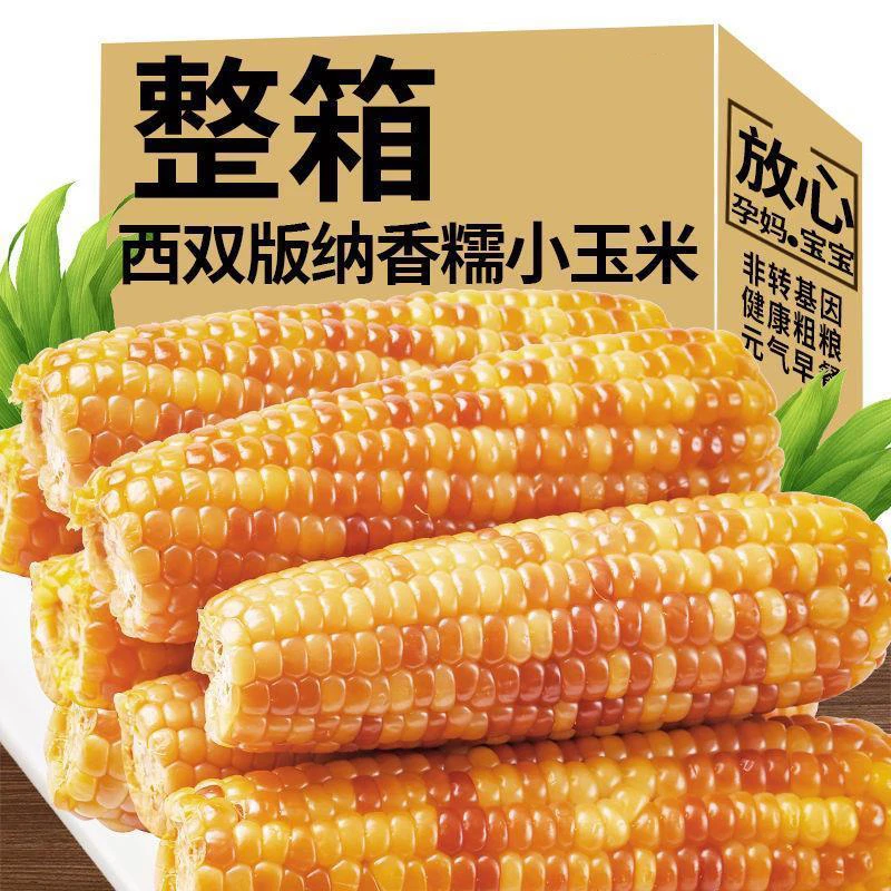 西双版纳香糯玉米新鲜真空即食甜花糯玉米棒低脂早餐代餐