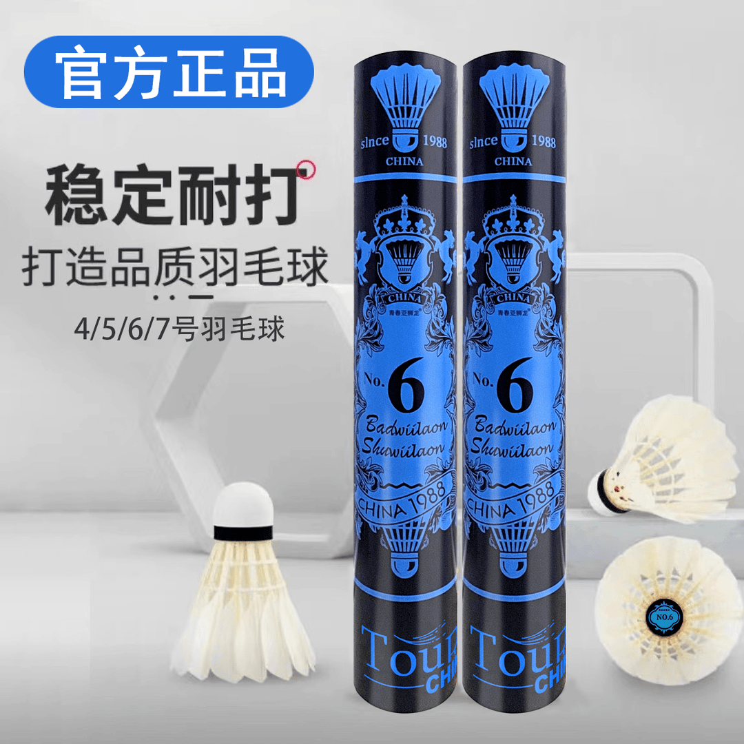 正品青春亚狮龙羽毛球4.5.6.7号耐打稳定训练比赛用12只装打不烂