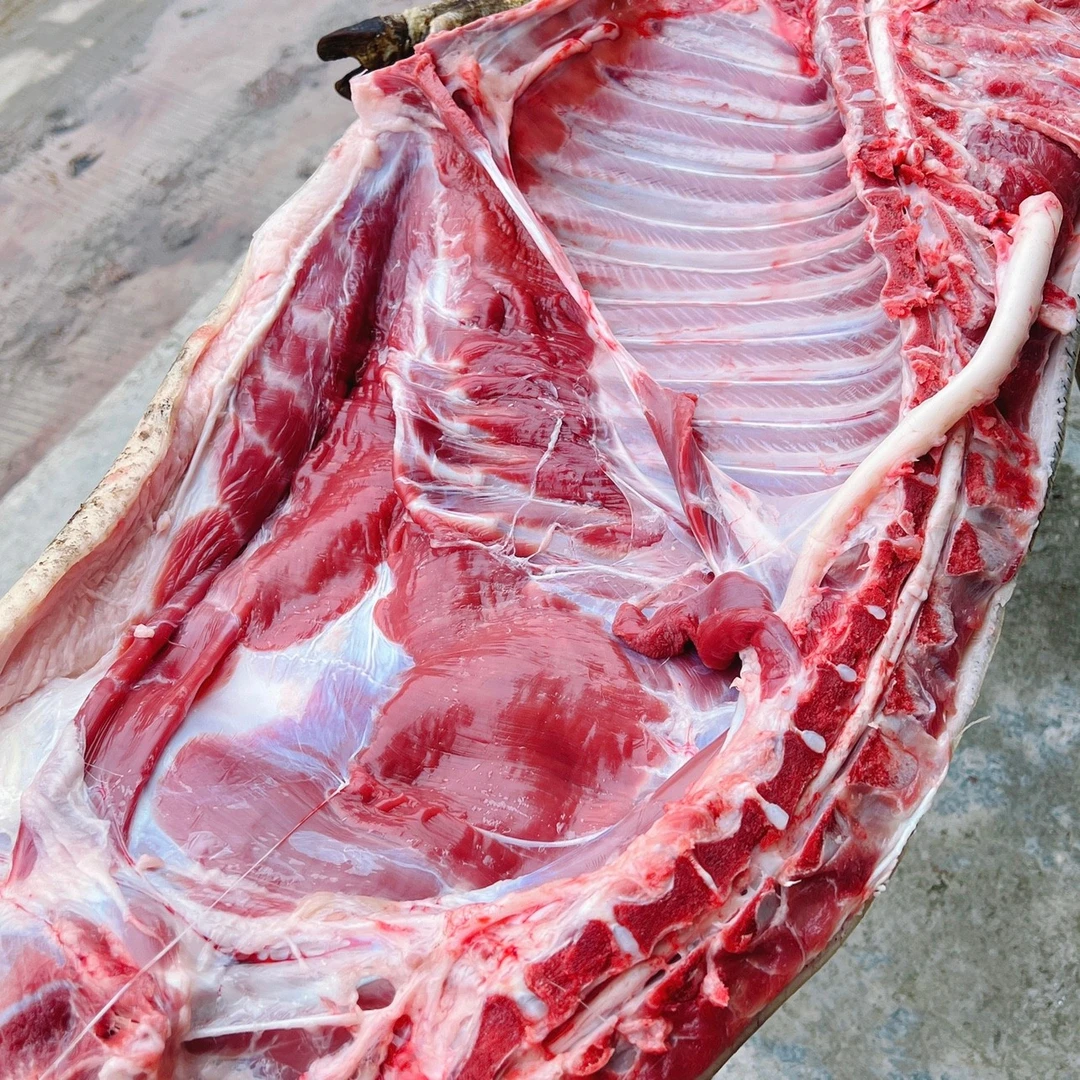 【筒骨+扇骨+龙骨】生态放养跑山猪 藏香猪  顺丰冷链包邮 猪肉铺