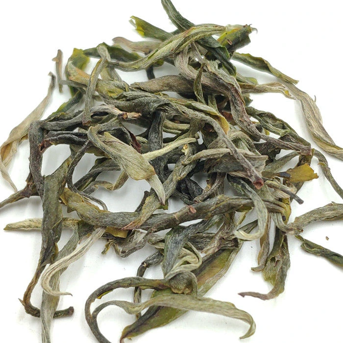 2025甘肃临夏老春茶明前墨江春尖芽茶新春尖西北罐罐茶热性茶