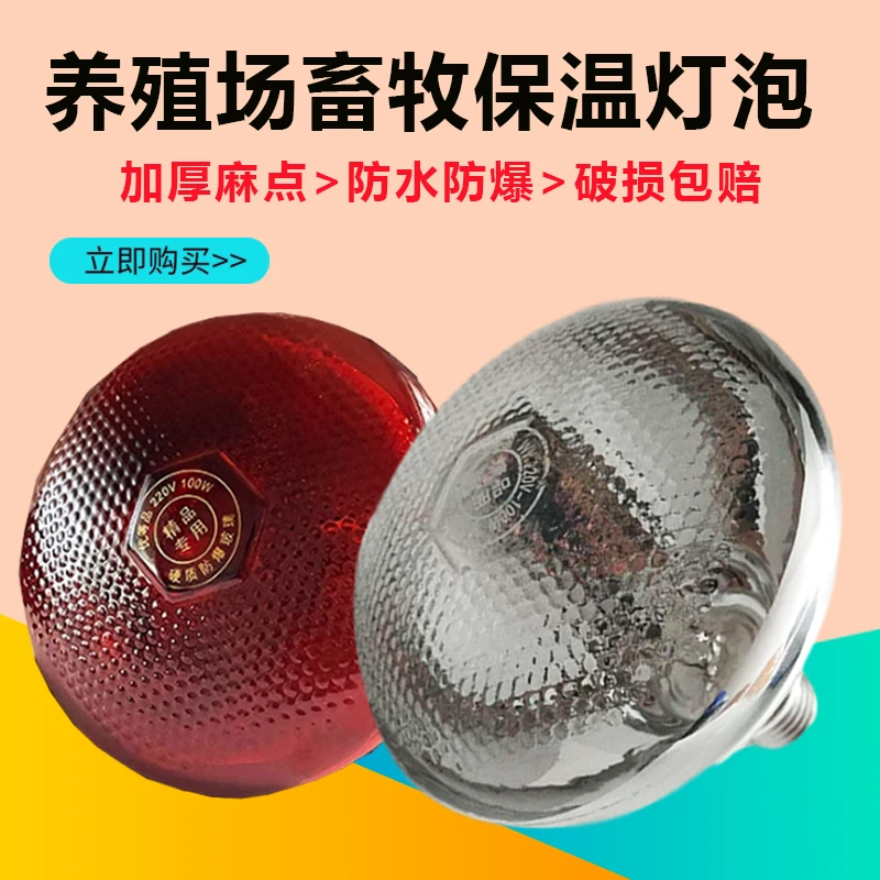 60个装养殖场保温灯泡加厚麻点保温灯泡 畜牧专用保温灯