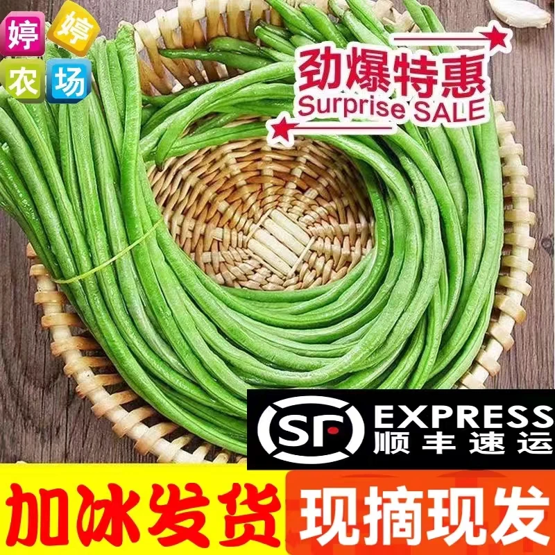 顺丰包邮苏北新鲜缸豆鲜嫩长豆角露天蔬菜现摘现发加冰发货3斤5斤