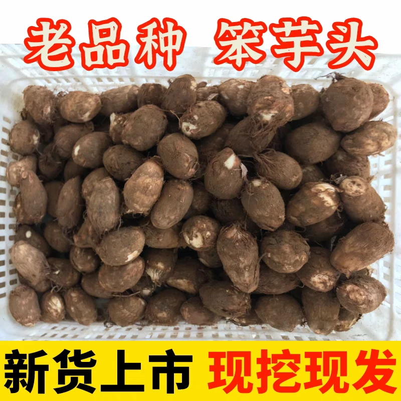 江苏牛奶小芋头新鲜现挖毛软糯香滑农产品芋艿蔬菜竽头香芋