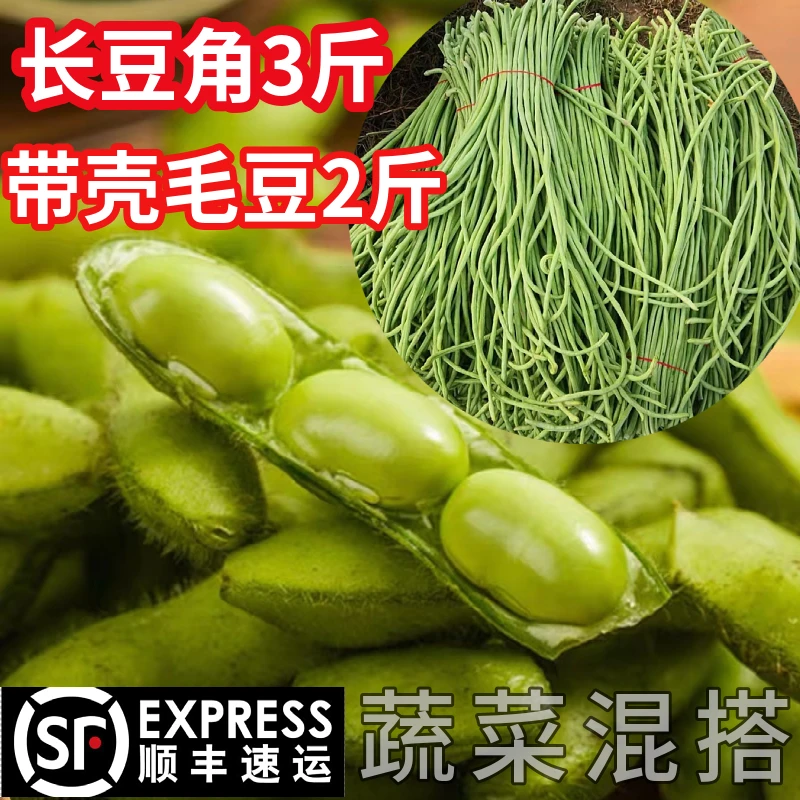 {顺丰包邮}苏北农家新鲜蔬菜当季农家菜长豆角新鲜毛豆组合装5斤