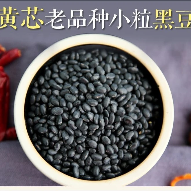 农家黄芯小黑豆扁黑豆老品种肾形黄心小黑豆豆醋泡杂粮米五谷杂粮