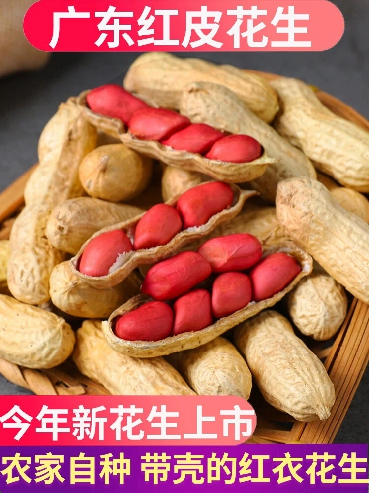 新鲜红皮四粒红产地农家生果带壳生果煲汤生吃营养健康颗粒饱满