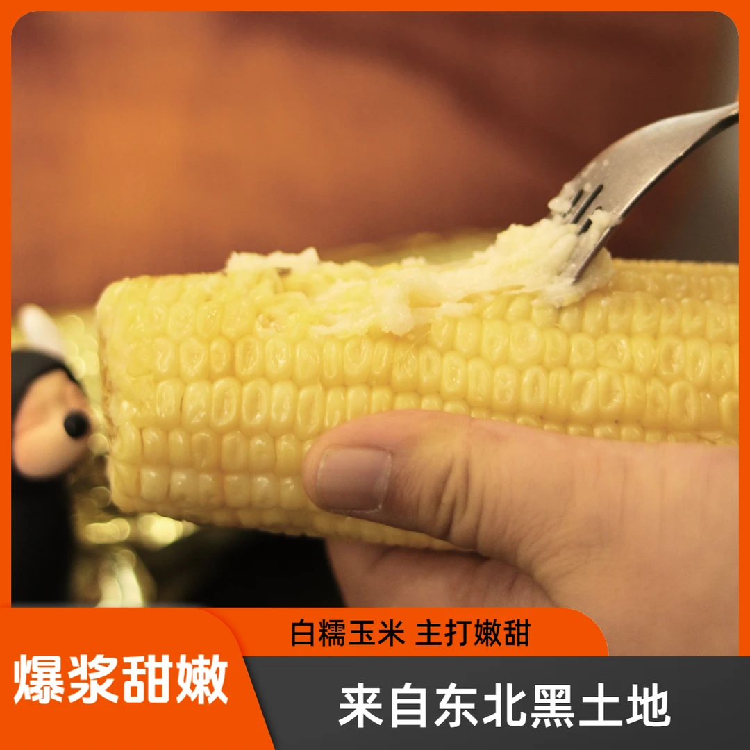 【中通】东北白糯玉米 主打爆浆甜嫩  芝士口感（5斤 6支）