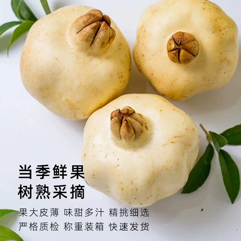 白玉石籽石榴5斤/箱单果4-5两怀远特产白石榴应季水果坏果包赔