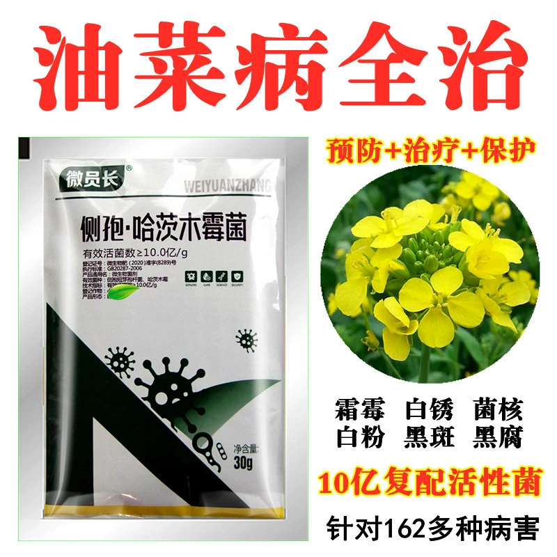 油菜病菌清油菜杀菌剂微生物菌剂霜霉病白锈病菌核病白粉病黑斑病