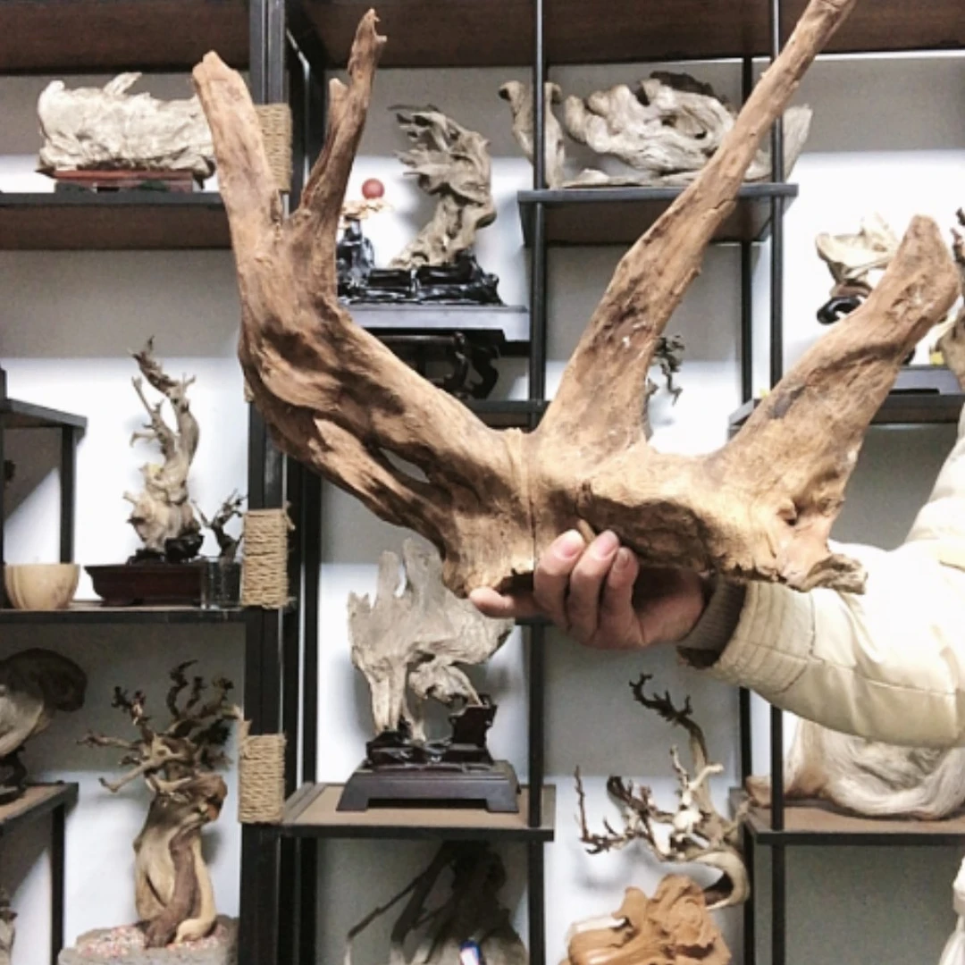 【闪购商品】崖柏新***上