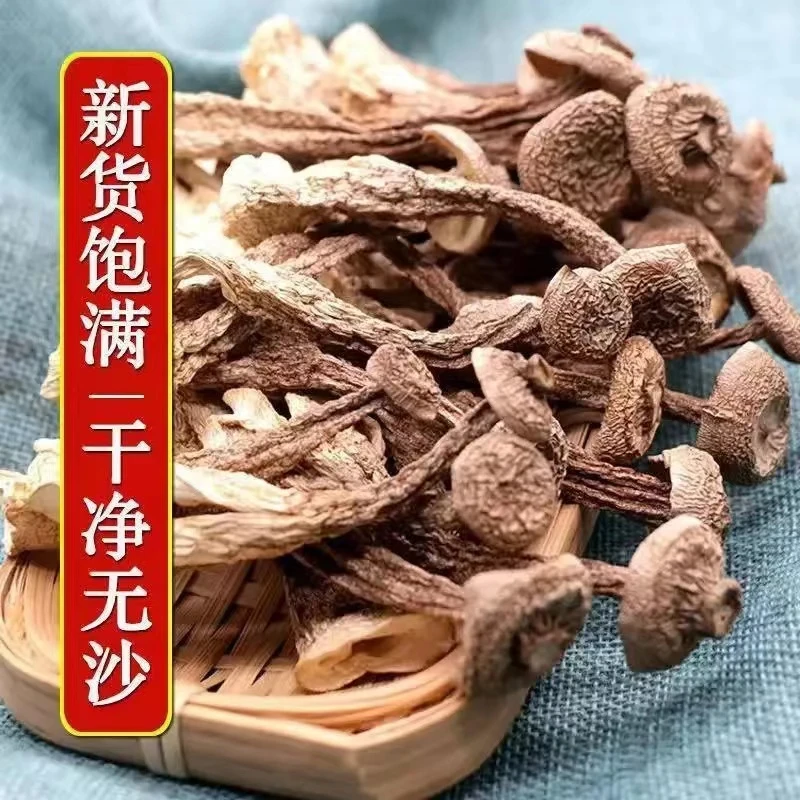 【大富豪专属】鹿茸菇干货特产无熏硫鹿茸菌菇煲汤食用枸杞