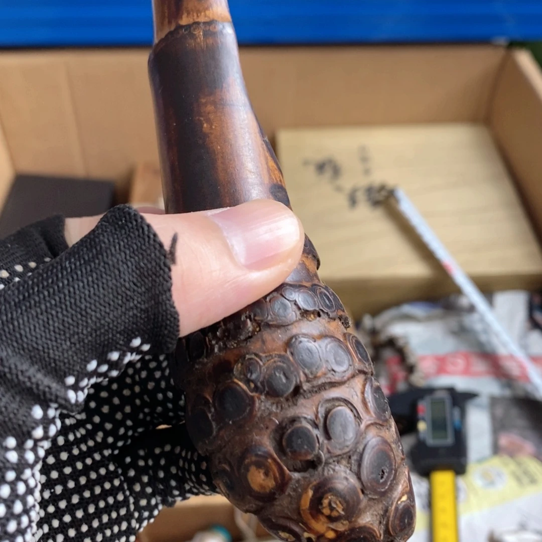 碟我家粉丝真好看呀