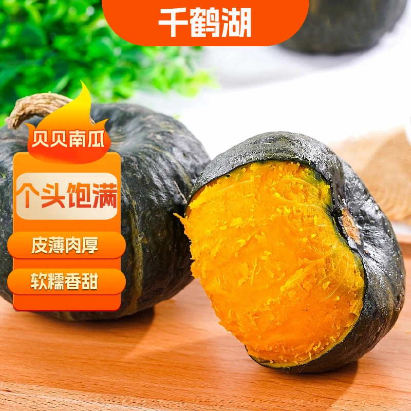 【千鹤湖】山东贝贝南瓜大果净重4.5斤单果300g起