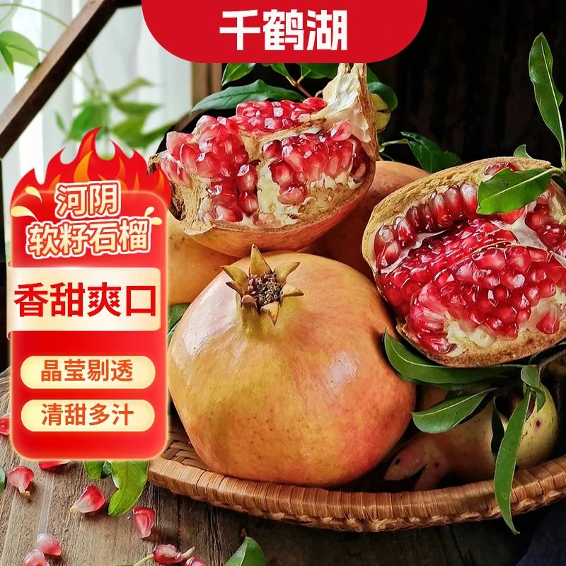 千鹤湖【坏果包赔】河阴软籽石榴颗粒饱满清甜可口带箱5斤