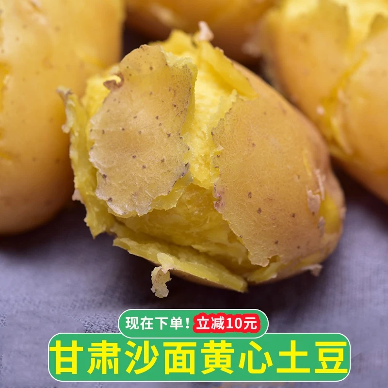 甘肃定西农家肥黄皮黄心沙面土豆马铃薯2.5/4.5kg软糯洋芋