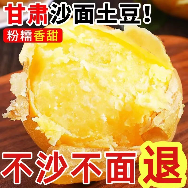 新甘肃黄心土豆定西洋芋现挖现发净重3/5/10斤装包邮优质好吃皮薄