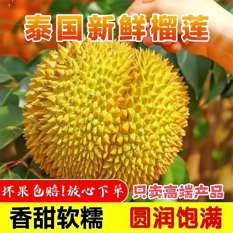 【顺丰】泰国进口金枕头榴莲软糯香甜液氮冷冻整个带壳坏果包赔