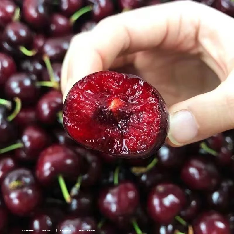 【顺丰急发】空运车厘子黑珍珠1/2/3/5斤J/JJ/JJJ级 内附果径卡